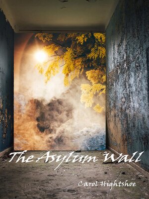 cover image of The Asylum Wall
